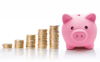 PLANES DE AHORRO A LARGO PLAZO