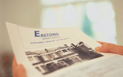 Publicidad engañosa y competencia desleal