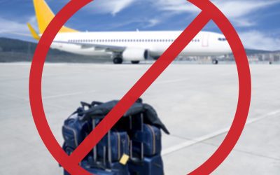 DEVOLUCIÓN DEL IMPORTE CORRESPONDIENTE A UNOS BILLETES DE AVIÓN POR VUELO CANCELADO A CAUSA DEL COVID-19