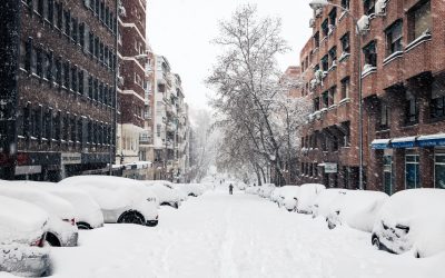 AFECTADOS POR EL TEMPORAL FILOMENA