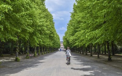 Medio ambiente urbano: Un reto para la sostenibilidad de las ciudades