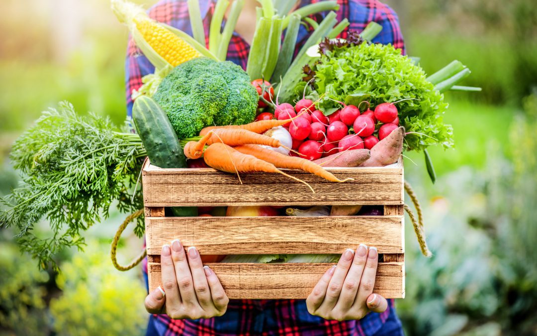 Beneficios de consumir frutas y verduras de temporada